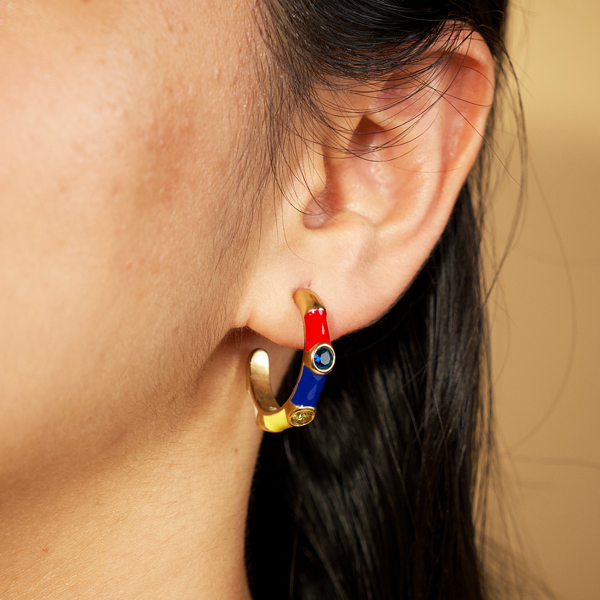 Terra Rainbow Hoop Earrings