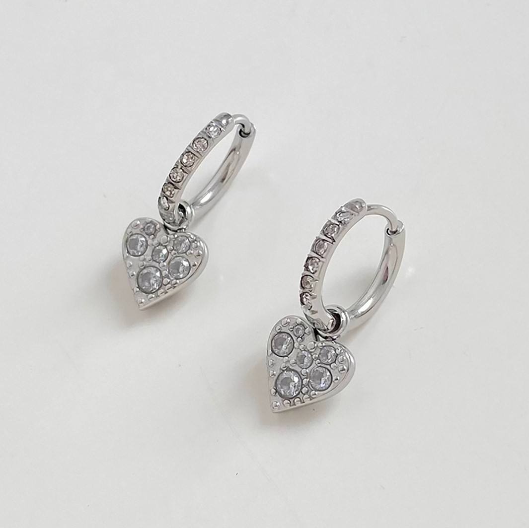 Frosted Heart Earrings